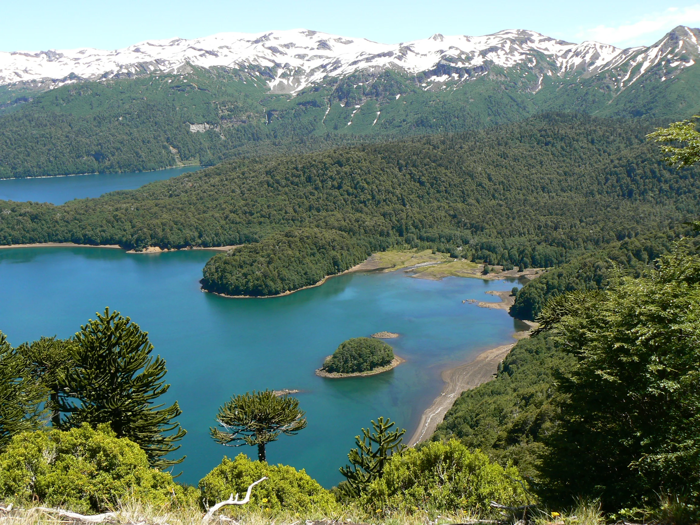 Looking_out_over_Lago_Conguillio.jpg