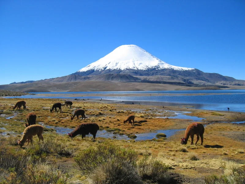 Parinacota%20Volcano,%20northern%20Chile,%20by%20mtchm.jpg