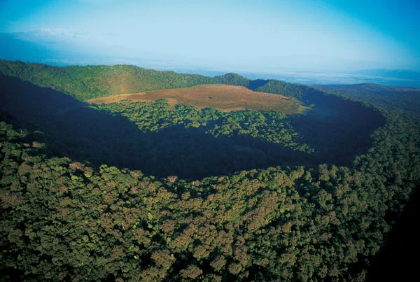 Ngorongoro%20Highlands.jpg