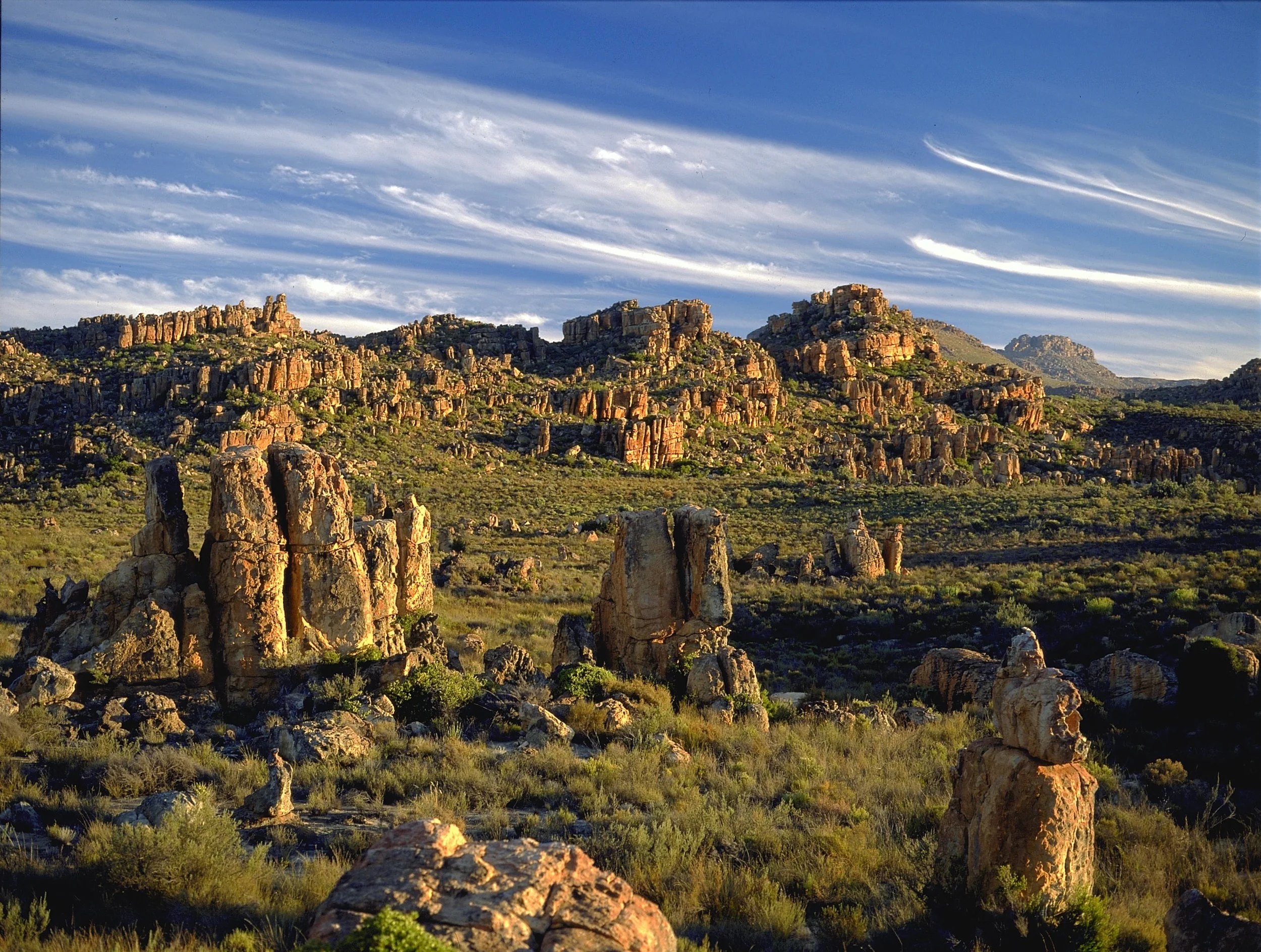 Cedarberg%20Western%20Cape.jpg