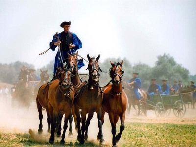 Hungarians%20are%20famed%20for%20their%20equestrian%20skills,%20many%20displays%20like%20this%20can%20be%20seen%20across%20the%20country.jpg