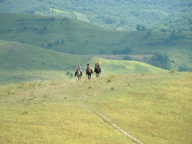 There%20are%20many%20trails%20to%20ride%20and%20walk.This%20was%20taken%20in%20Northern%20Hungary%20close%20to%20the%20Bukk%20National%20Park..jpg
