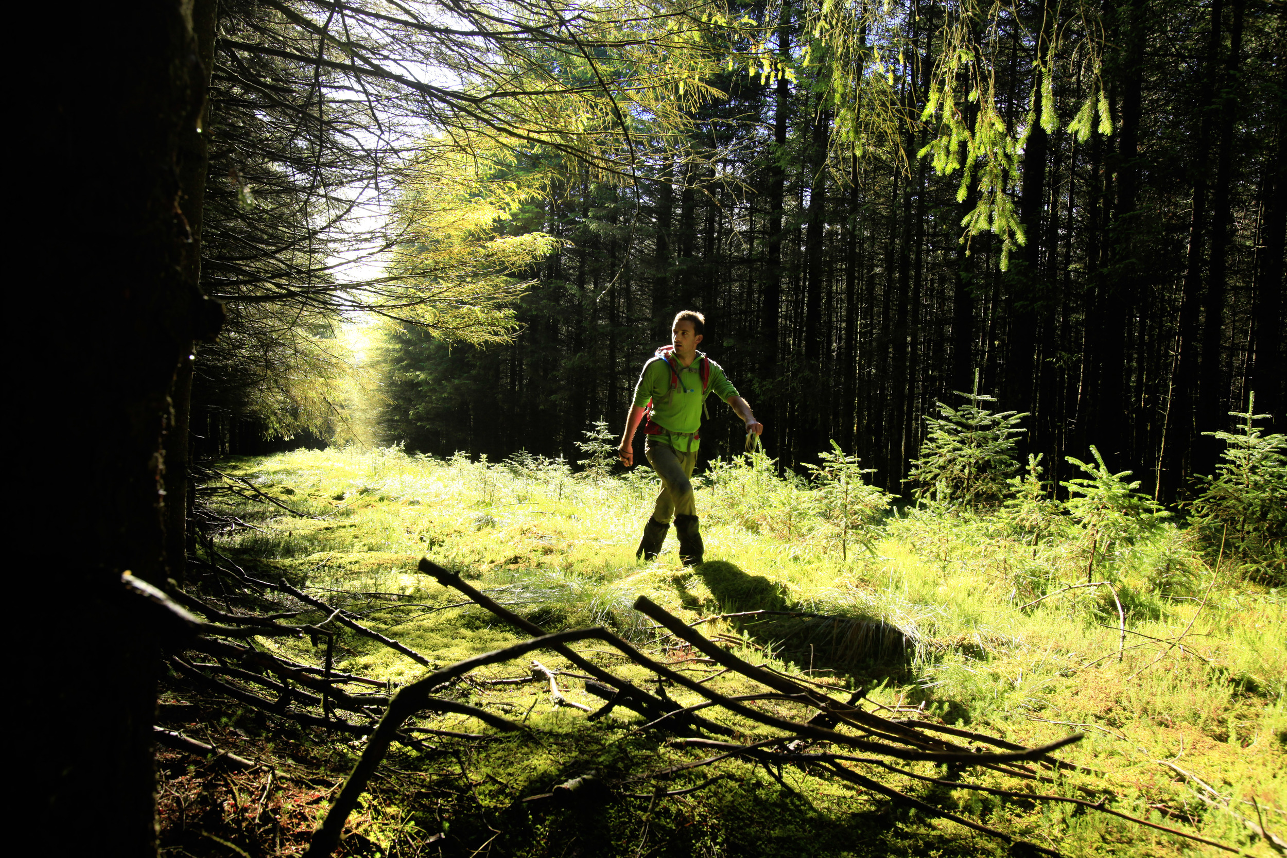 Entering the wild forests of the Northern Pennines in search of the wildest bit of all. Photo: Tom Bailey © Trail Magazine
