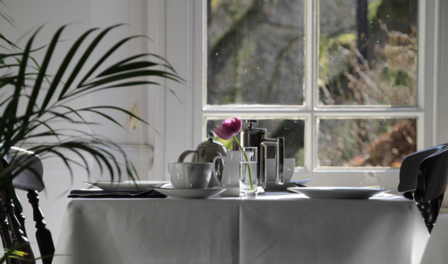 The Ferns Guesthouse Breakfast Room.jpg