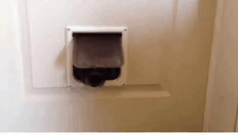 ezgif.com-video-to-gif.gif