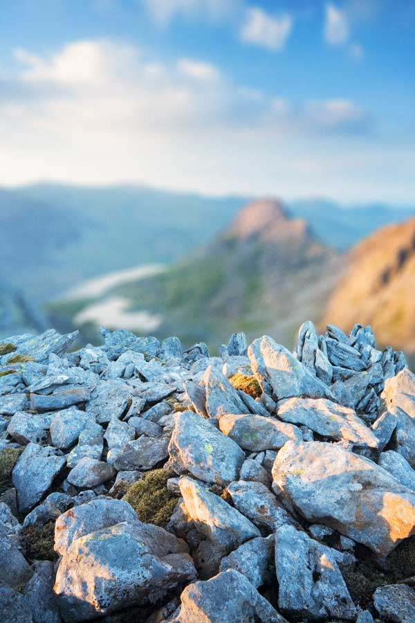 Shallow depth of field Photo: James Osmond/Alamy