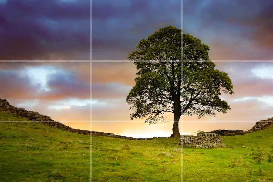 Photo: Martin Jones/Alamy