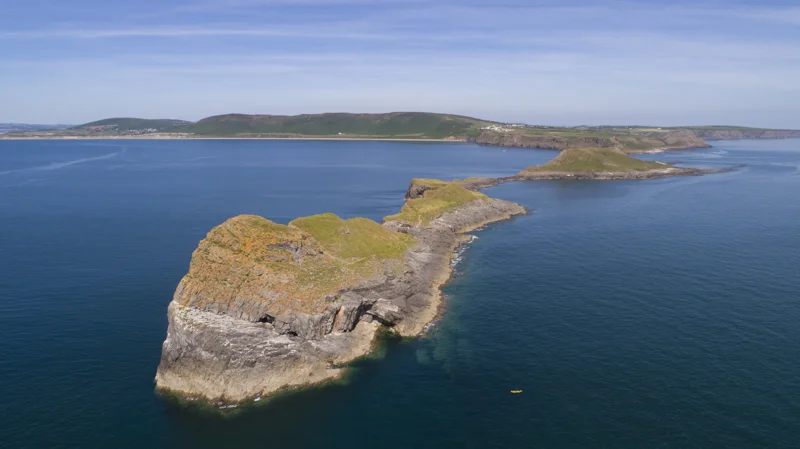 worms-head -copyright-CCS-2019.jpg