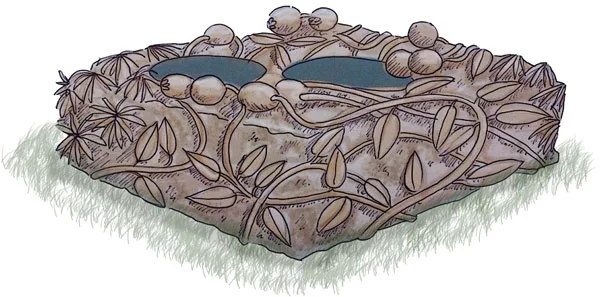 Shortheath-Cranberry-on-the-mire.jpg