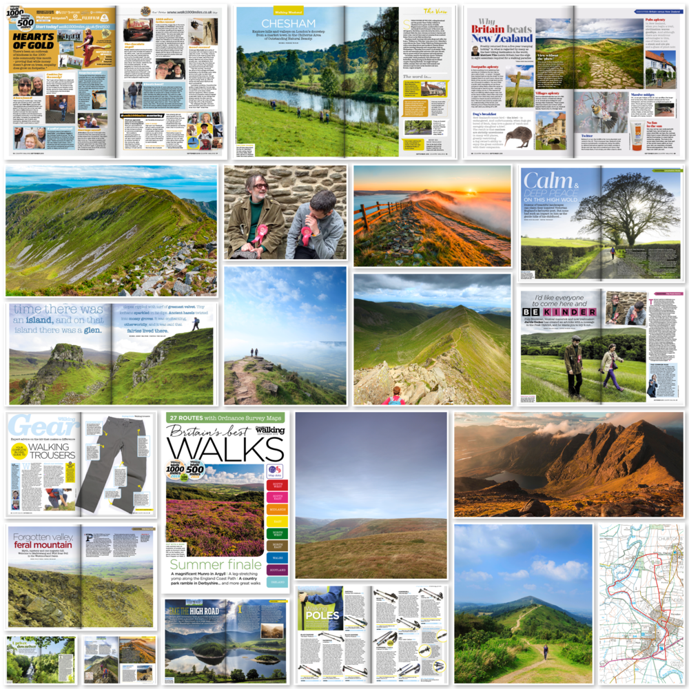 Sept+issue+mosaic.png