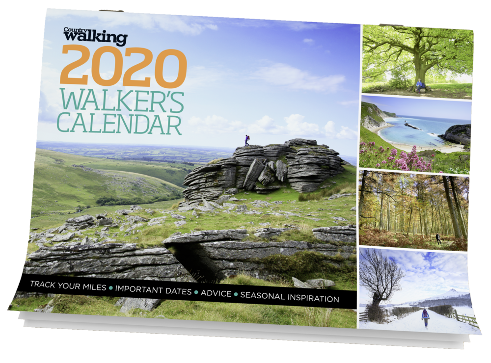 Calendar+mock+up.png