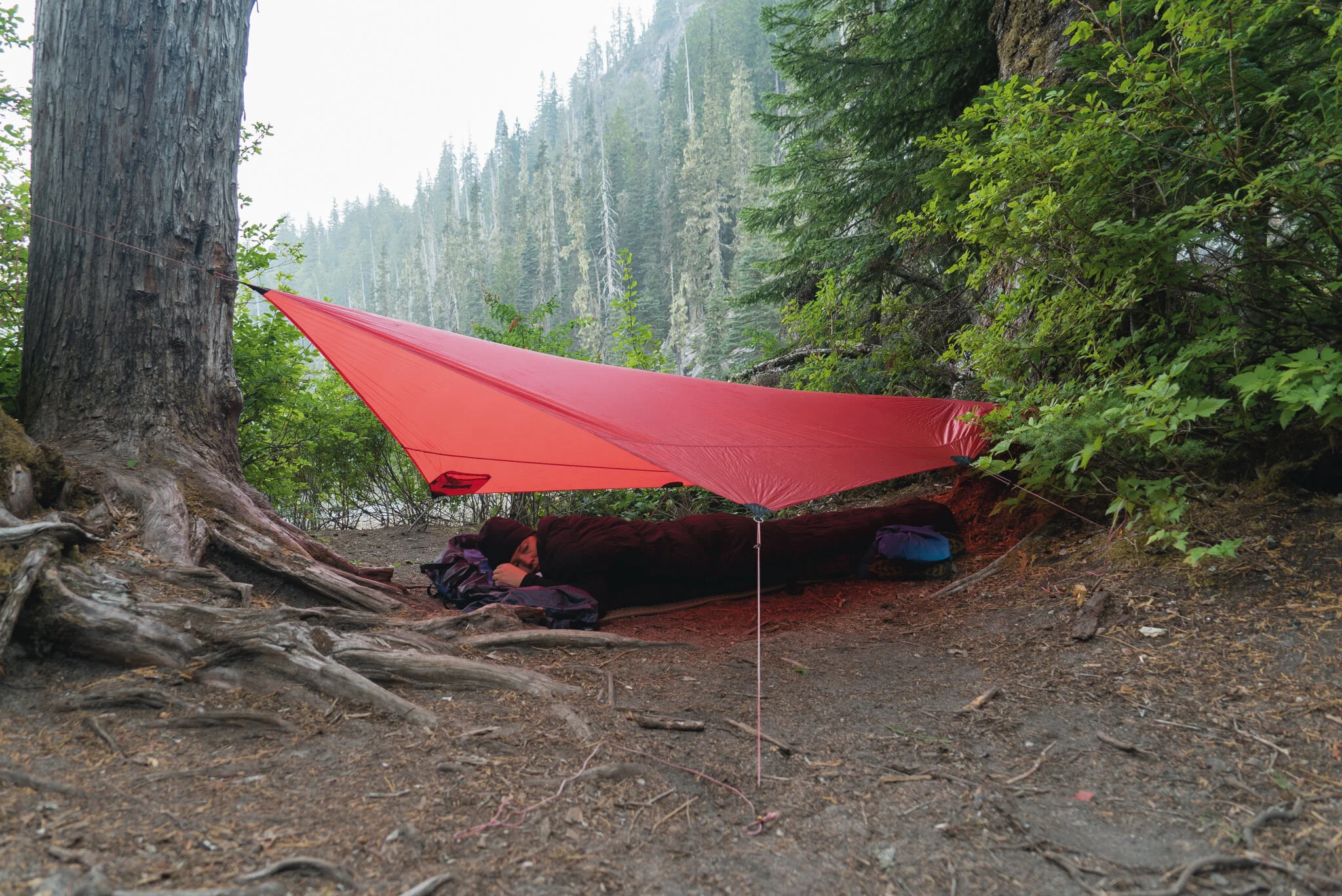 Which type of tent is the right one for you? — Live for the Outdoors