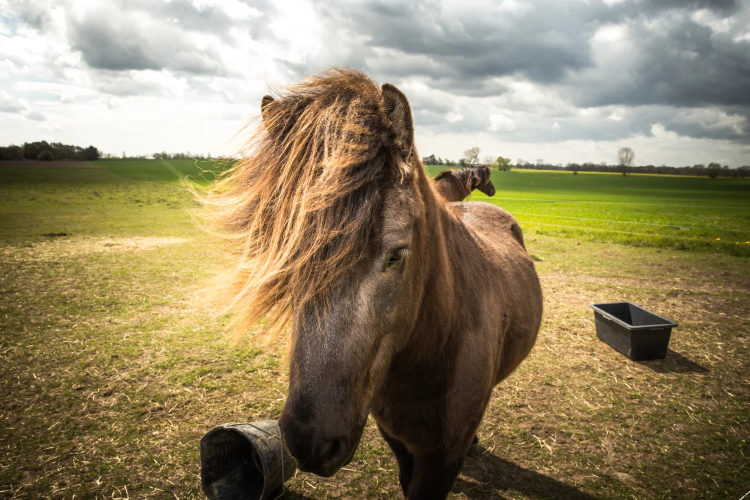 20150429-_MG_4958.jpg