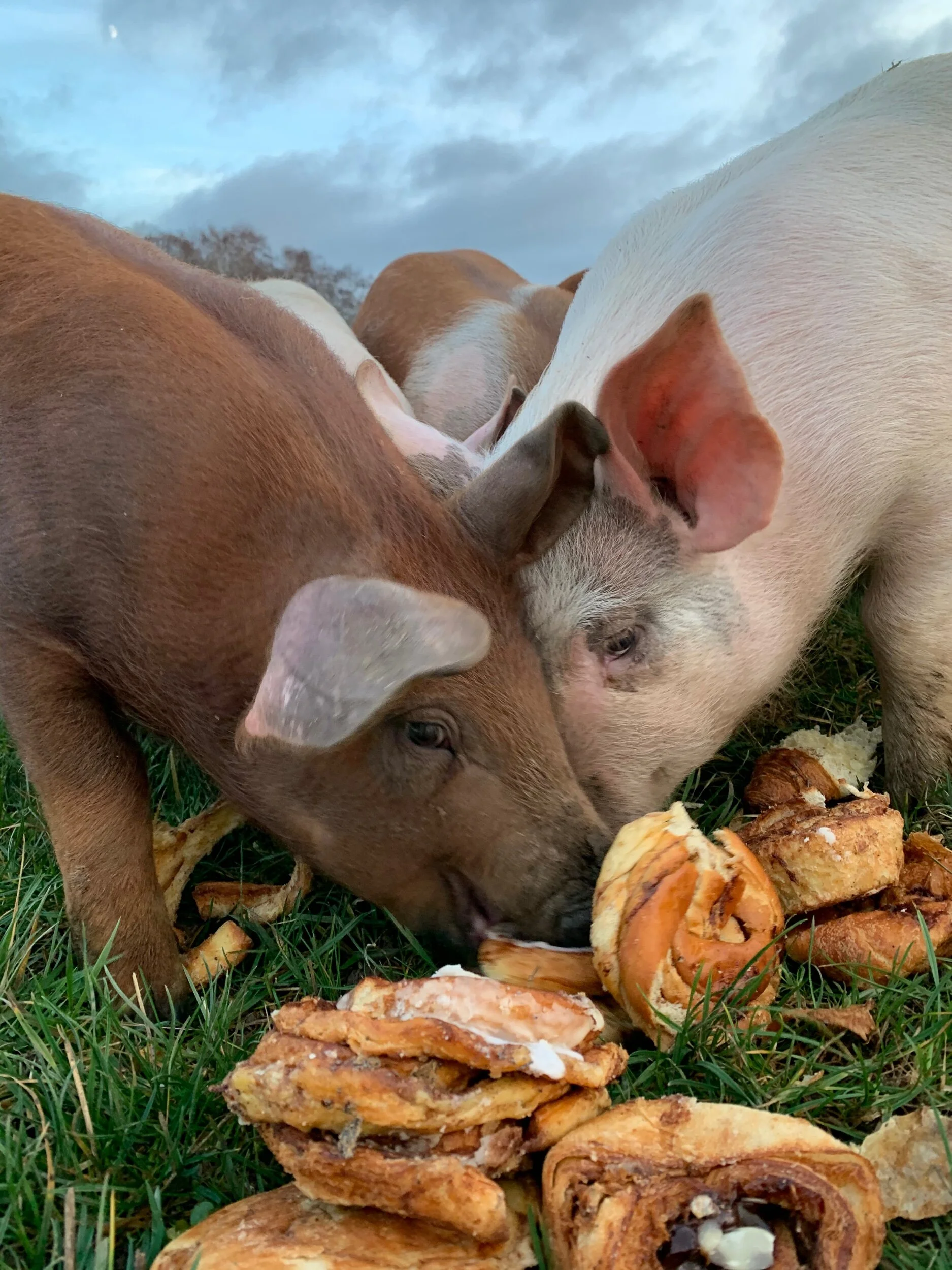 80DE204F-6183-4294-BAB7-940688B8D5C7