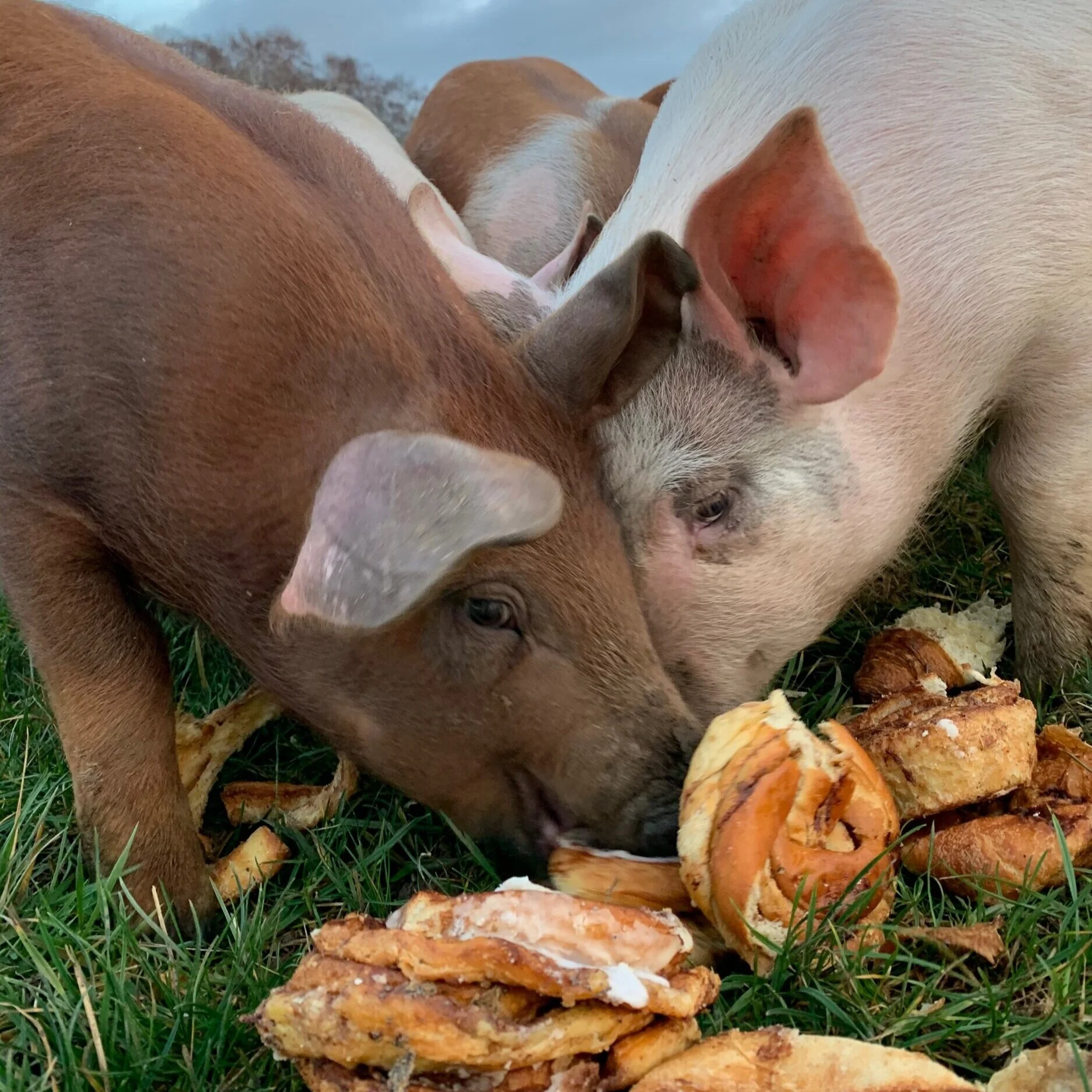 C240D91F-2279-4A3A-83CC-CFD805CB62C3