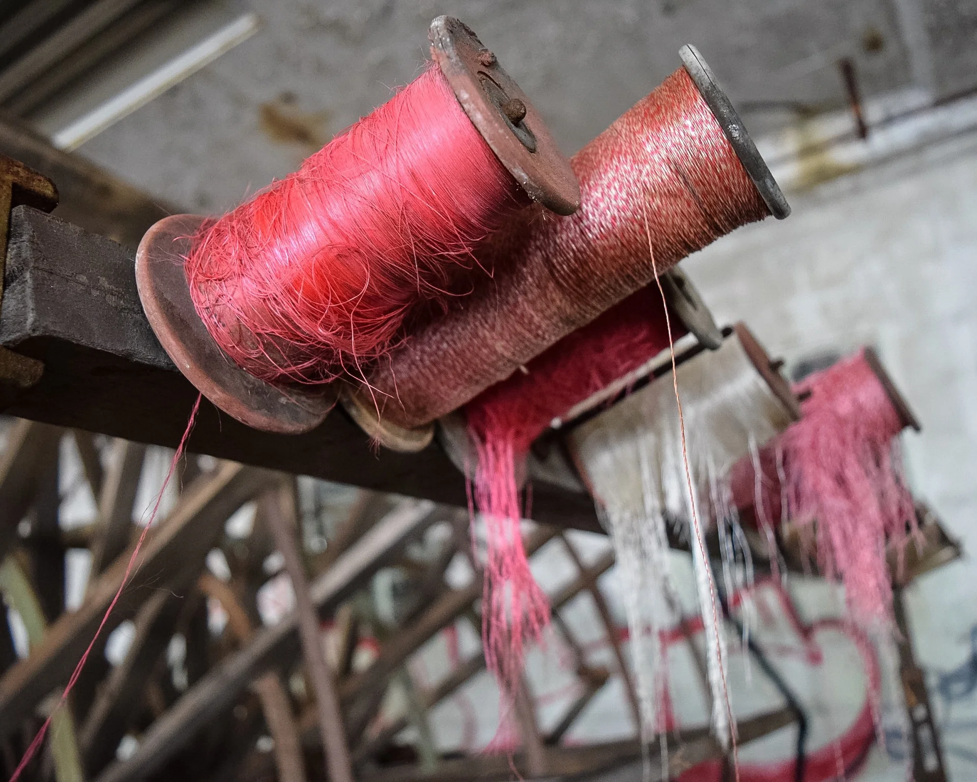 Fibers on the loom