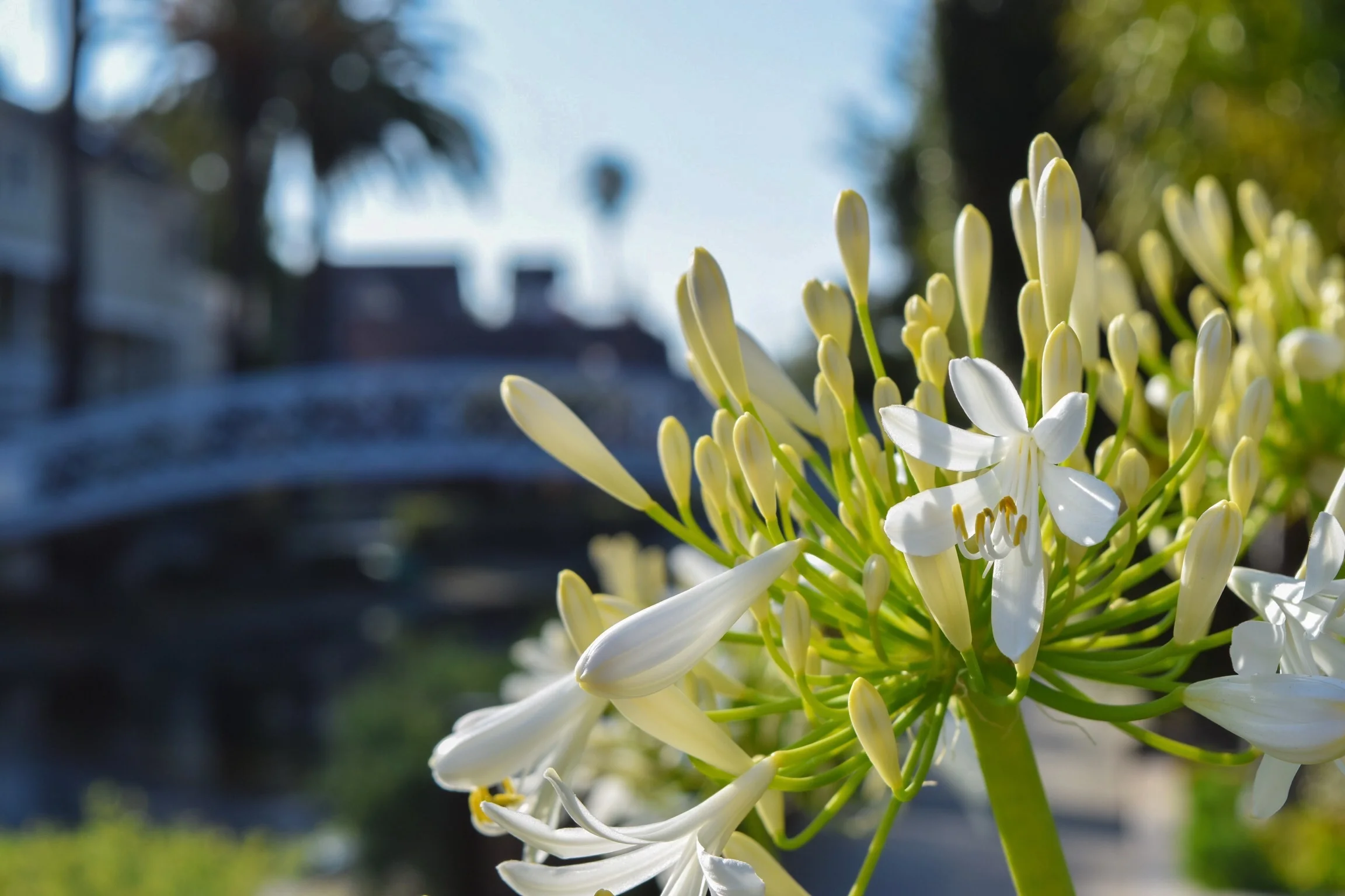 Venice - Take time to walk the Canal District's walkways and bridges
