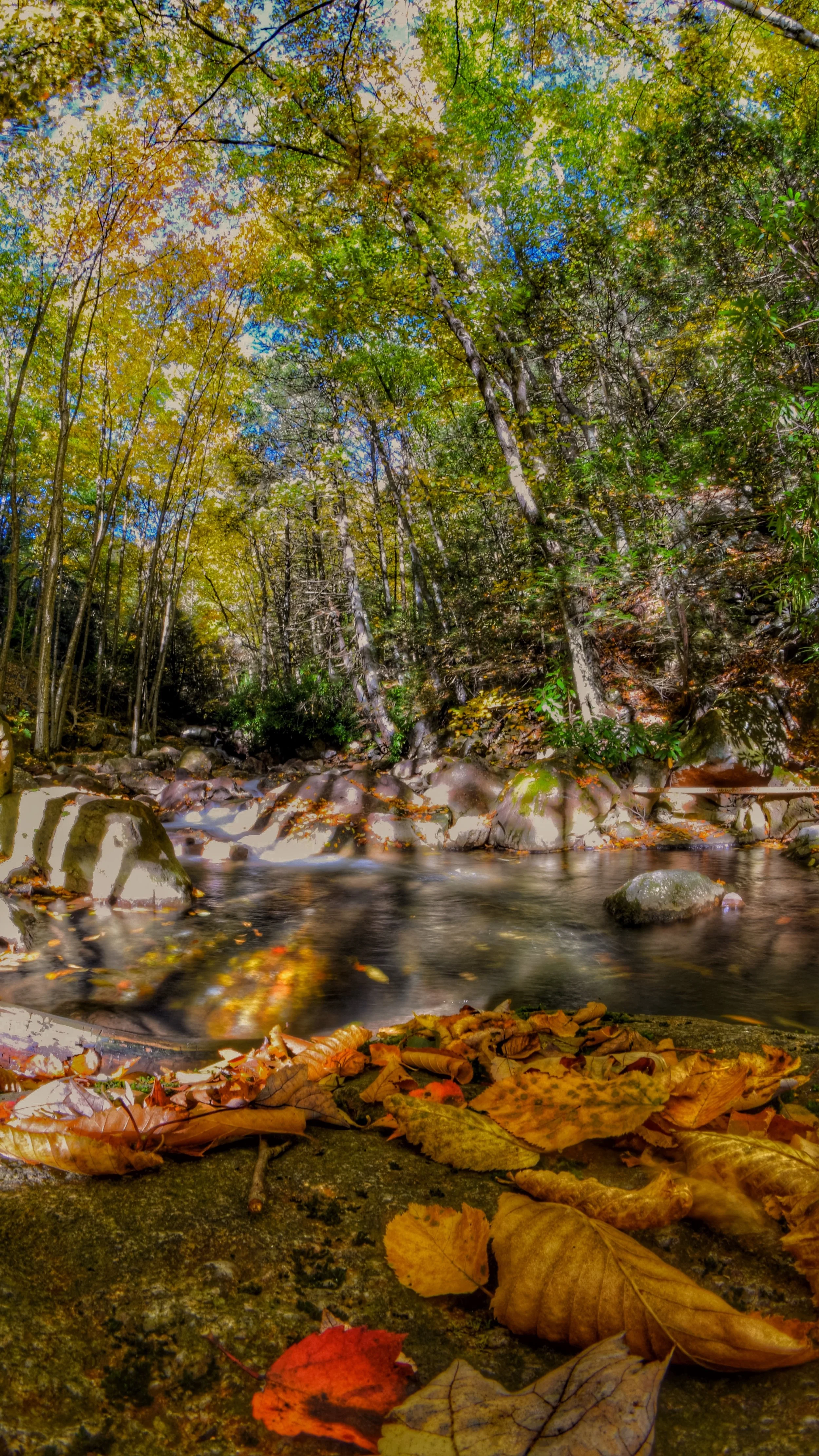 Lehigh Gorge State Park, Rockport