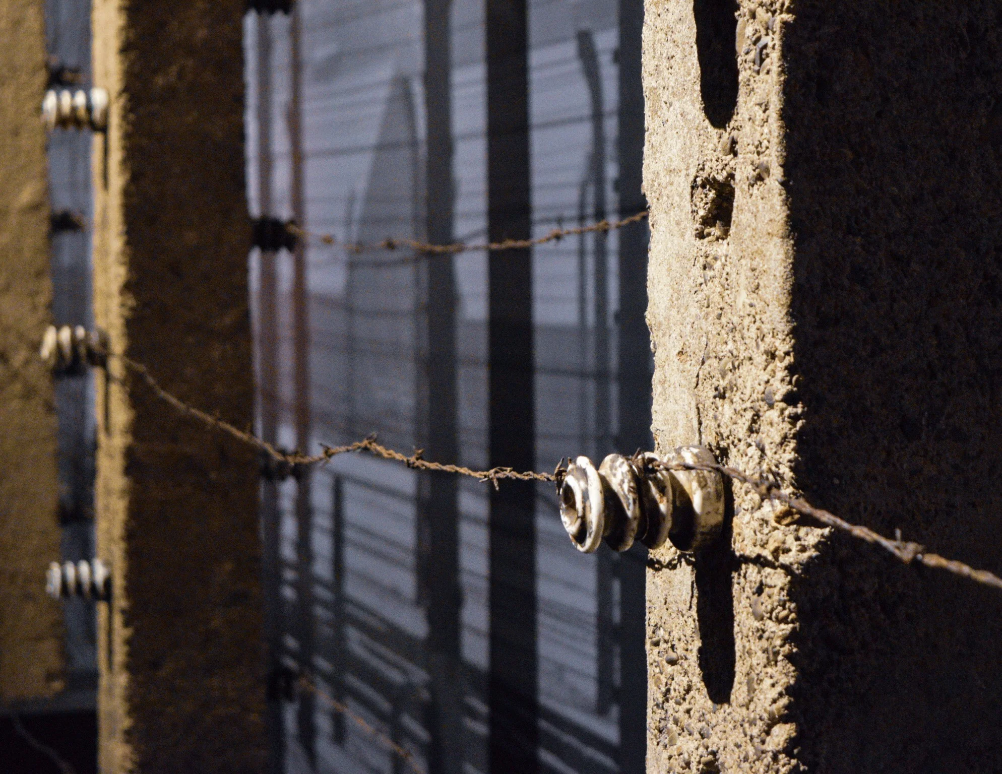 Posts and barbed wire from Auschwitz