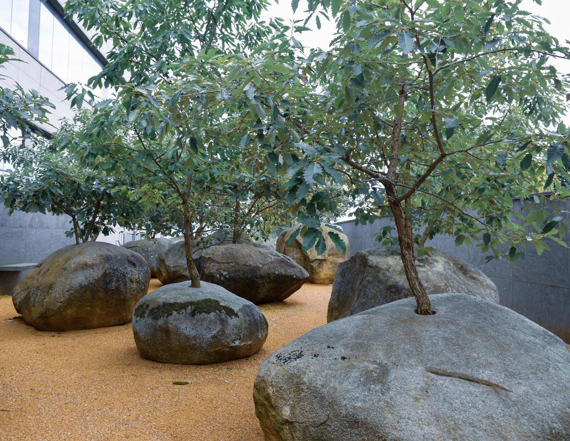 Garden of Stones