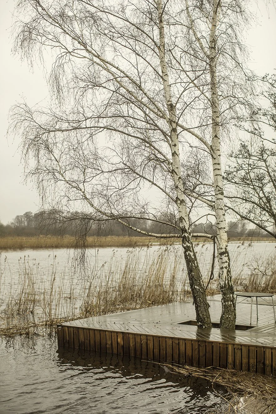 strenghielm_factoryhome.8.jpg