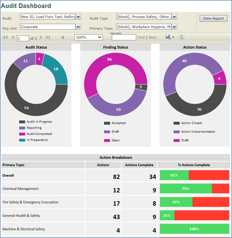 Dynamic Audit Management Dashboard
