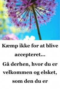 KÆMP IKKE FOR AT BLIVE ACCEPTERET…