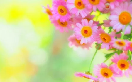 1438374-bigthumbnail.jpg