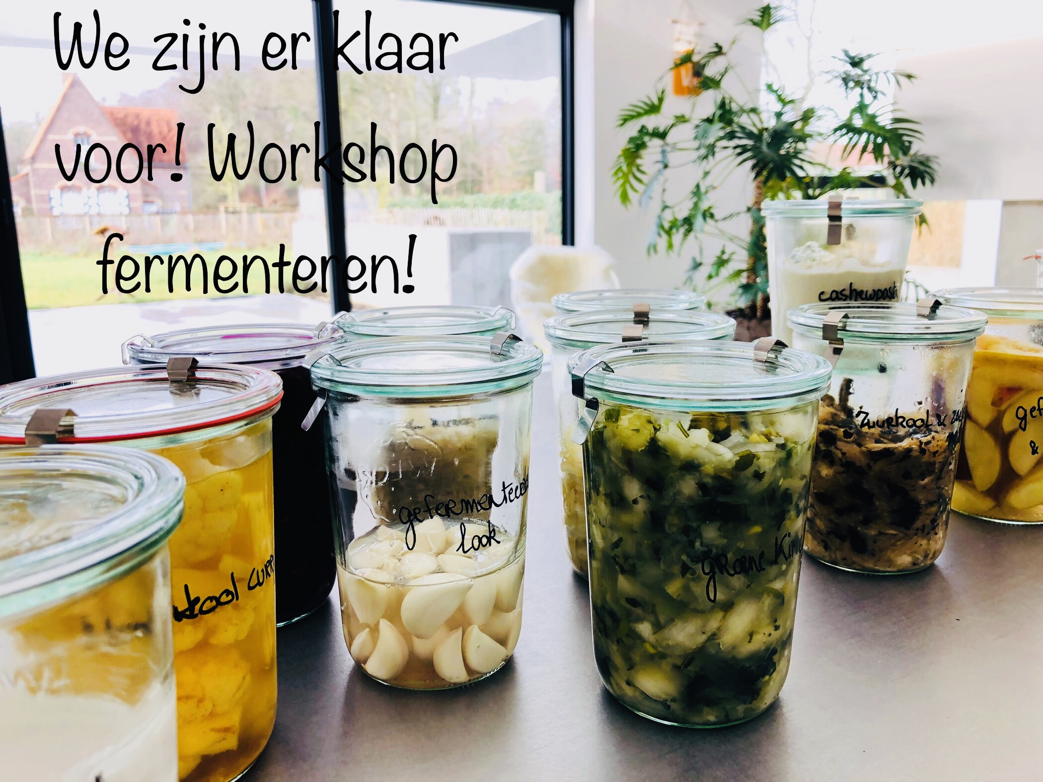 Workshop "Fermenteren moet je weer leren" VOLZET!!