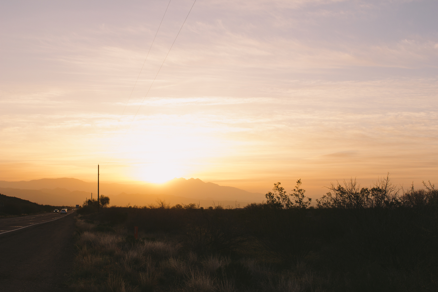 Project 366 | March 1 - 7