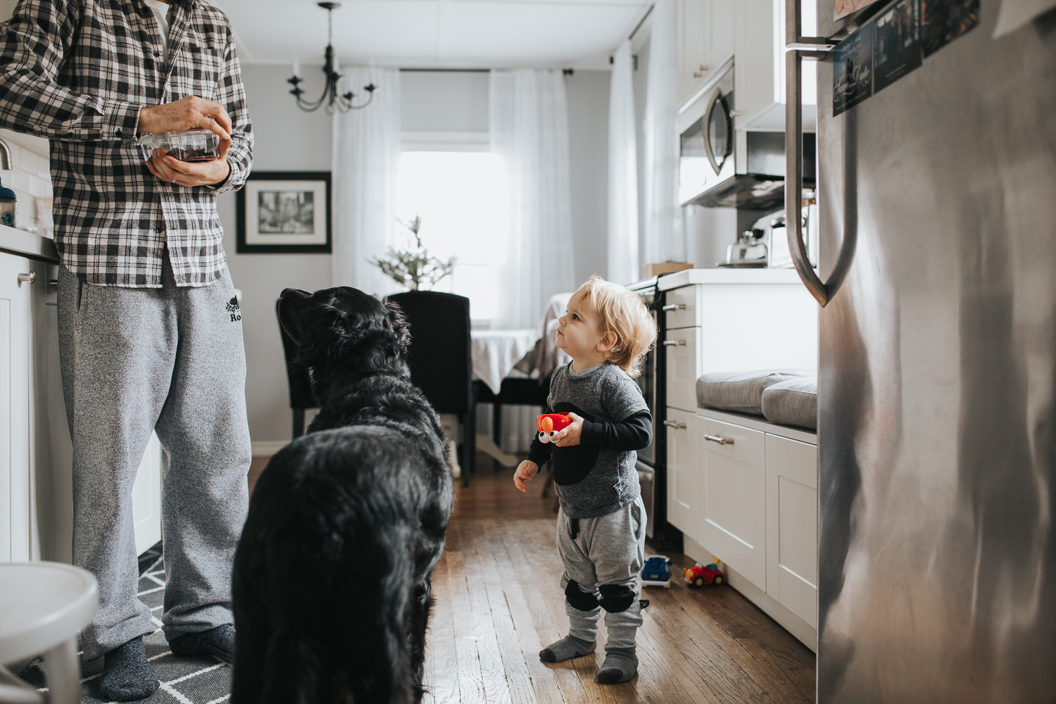 2 year old toddler boy and dog with dad in kitchen {Toronto Family Photographer}