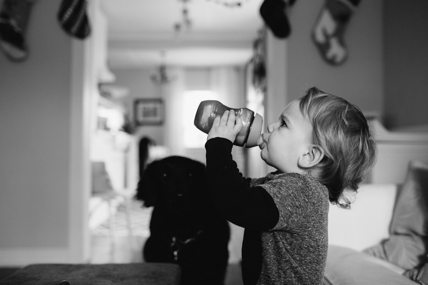 2 year old toddler boy drinking from sippy cup {Toronto Family Photographer}