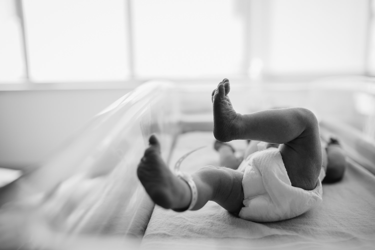 newborn baby boy feet in hospital bassinet - Stouffville fresh 48 photography
