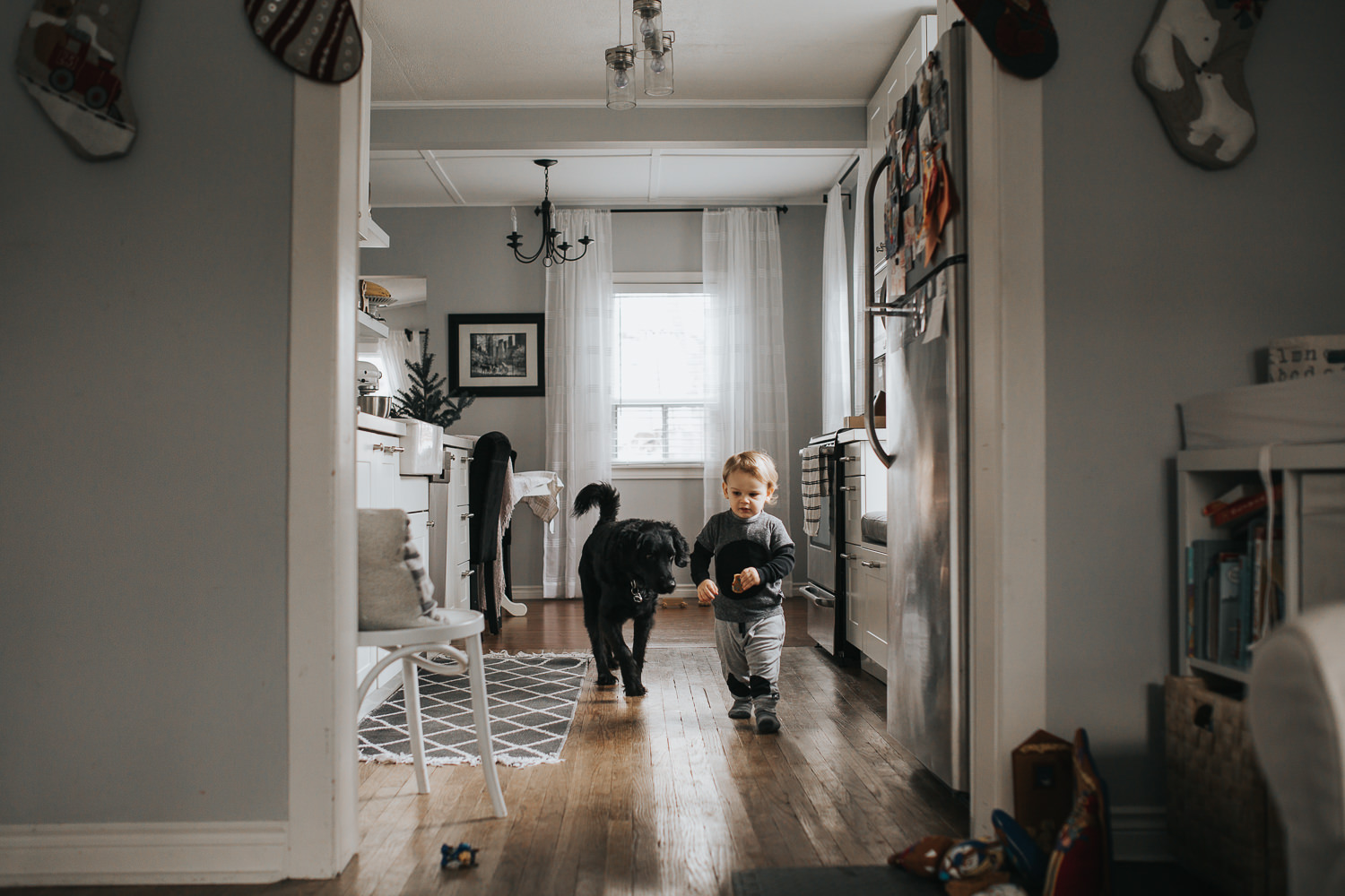2 year old toddler boy in kitchen with black dog - Uxbridge child photography