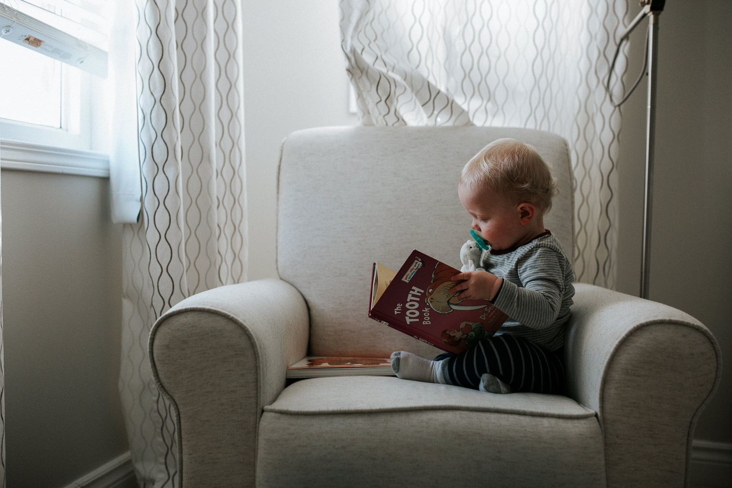 1 year old toddler boy sitting in chair reading dr suess book - stouffville child photos