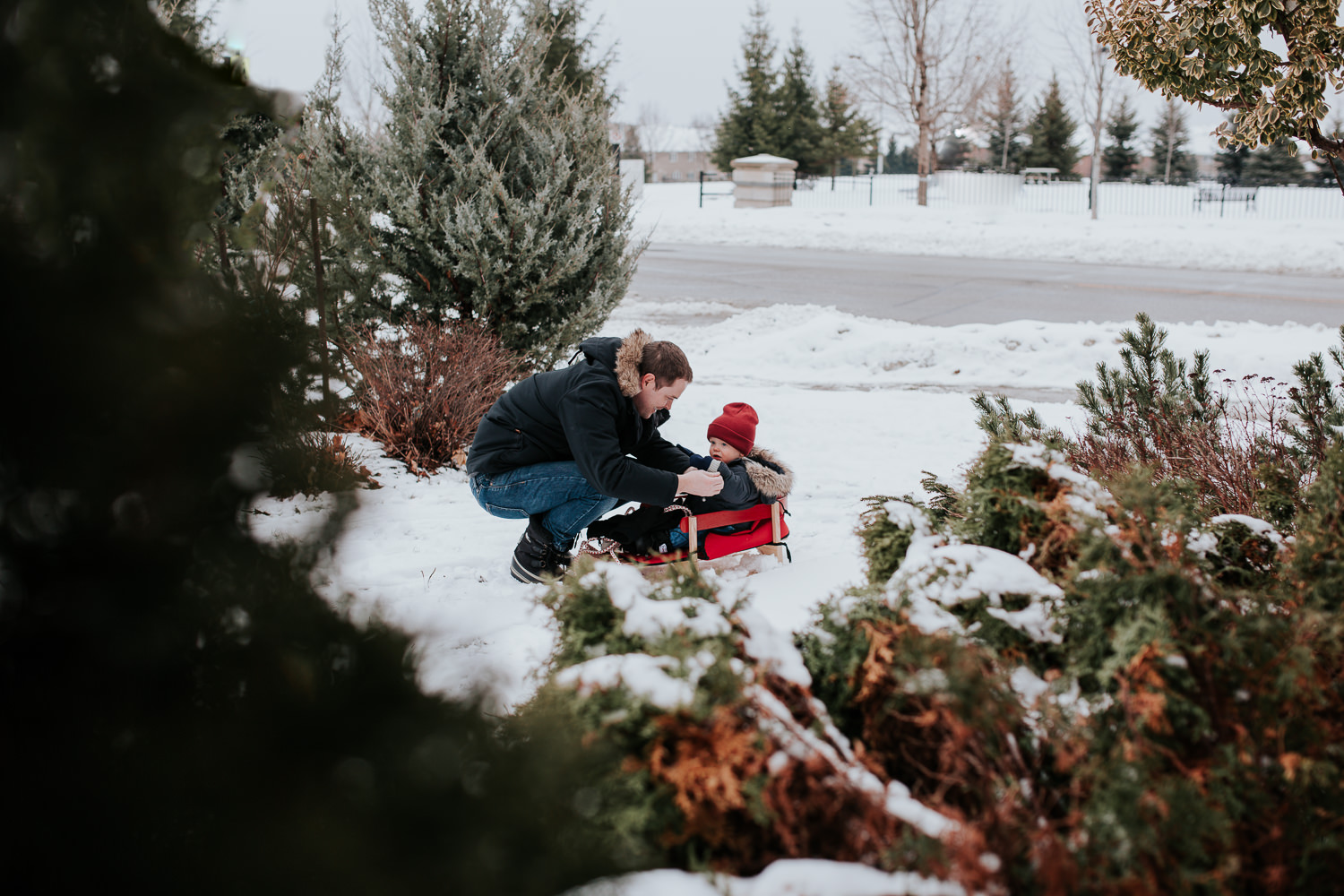 1 year old toddler boy in red wooden sled with dad - stouffville child photography