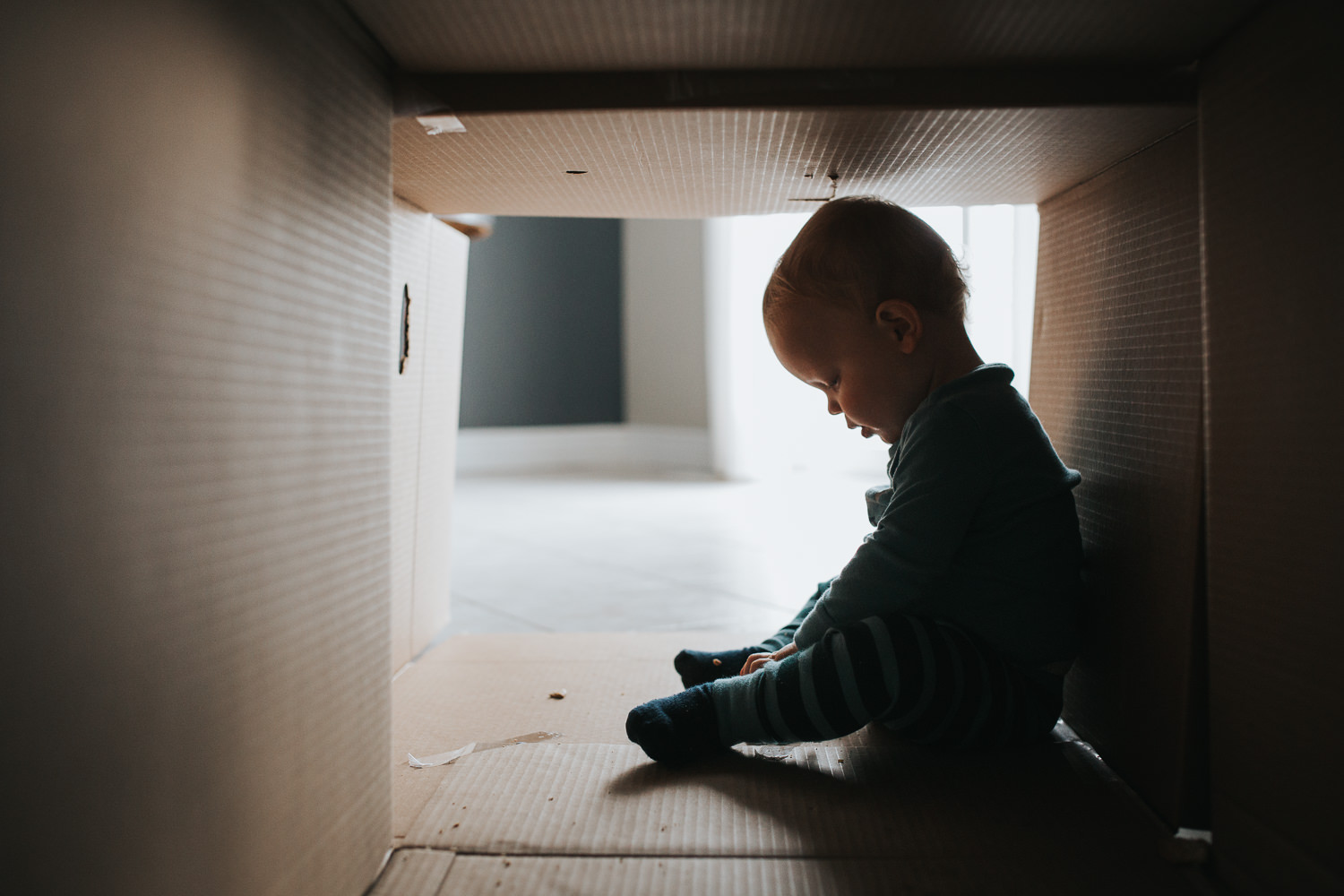 1 year old toddler boy sitting in cardboard box fort - markham child photos 