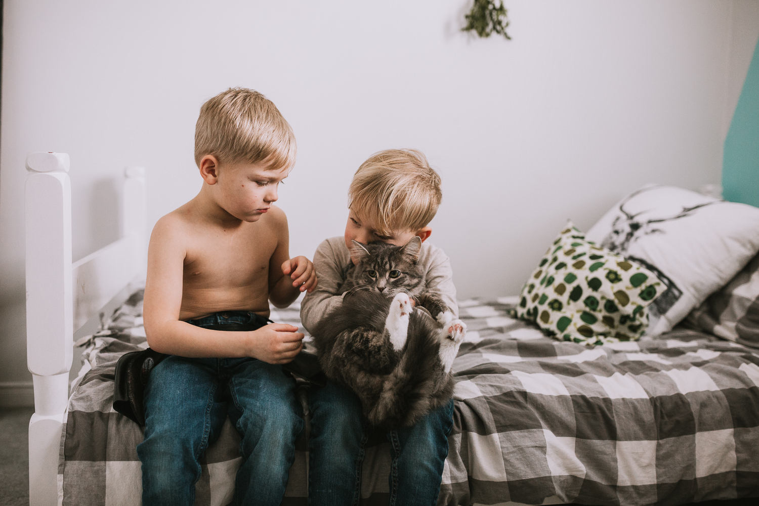 two young blonde brothers sitting on bed cuddle with pet cat - Stouffville lifestyle photos