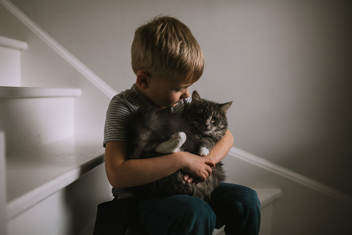 4 year old blonde boy snuggles and kisses pet cat while sitting on stairs - Newmarket lifestyle photos