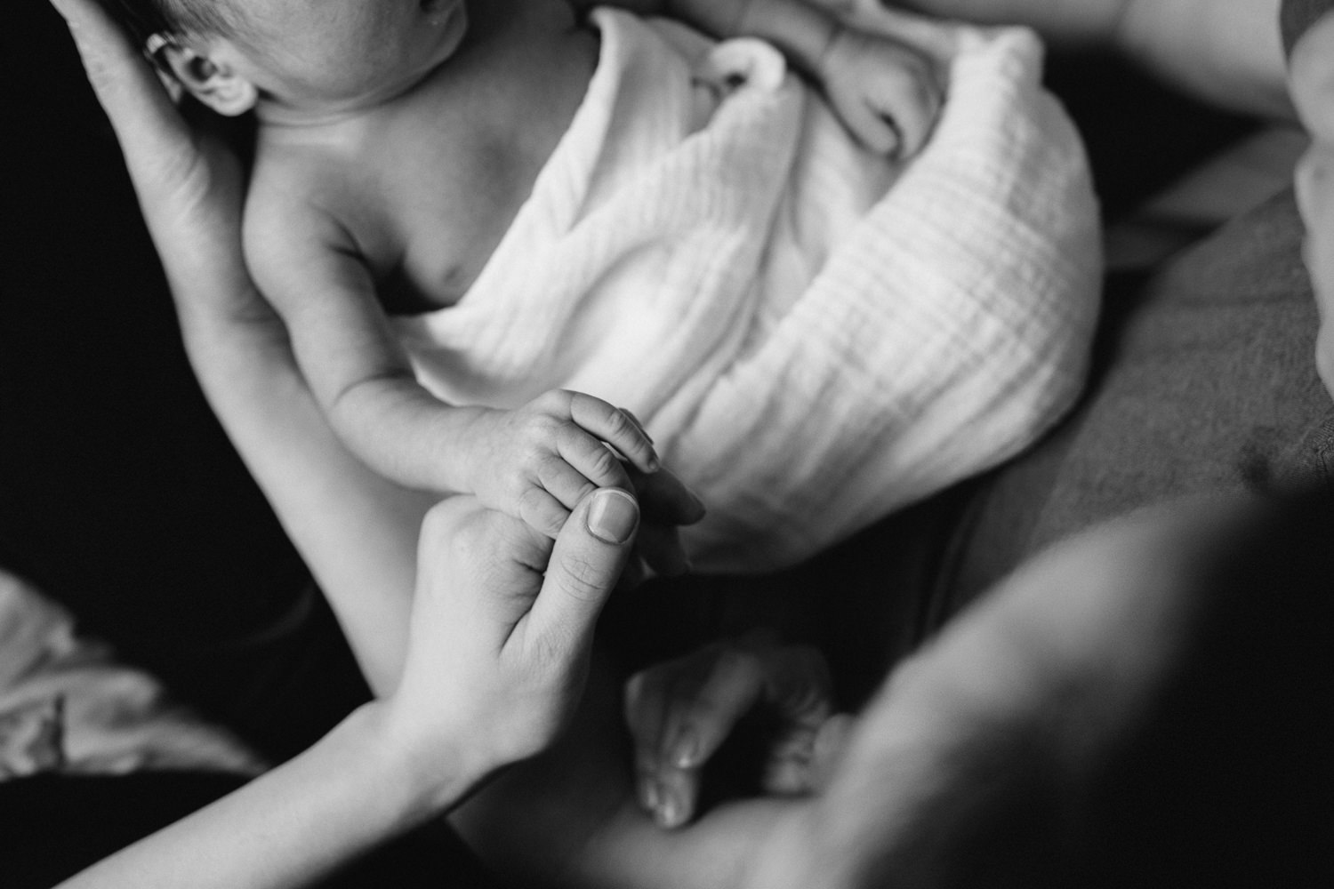 close up of 2 week old baby boy holding mother's hand - Newmarket in-home photography