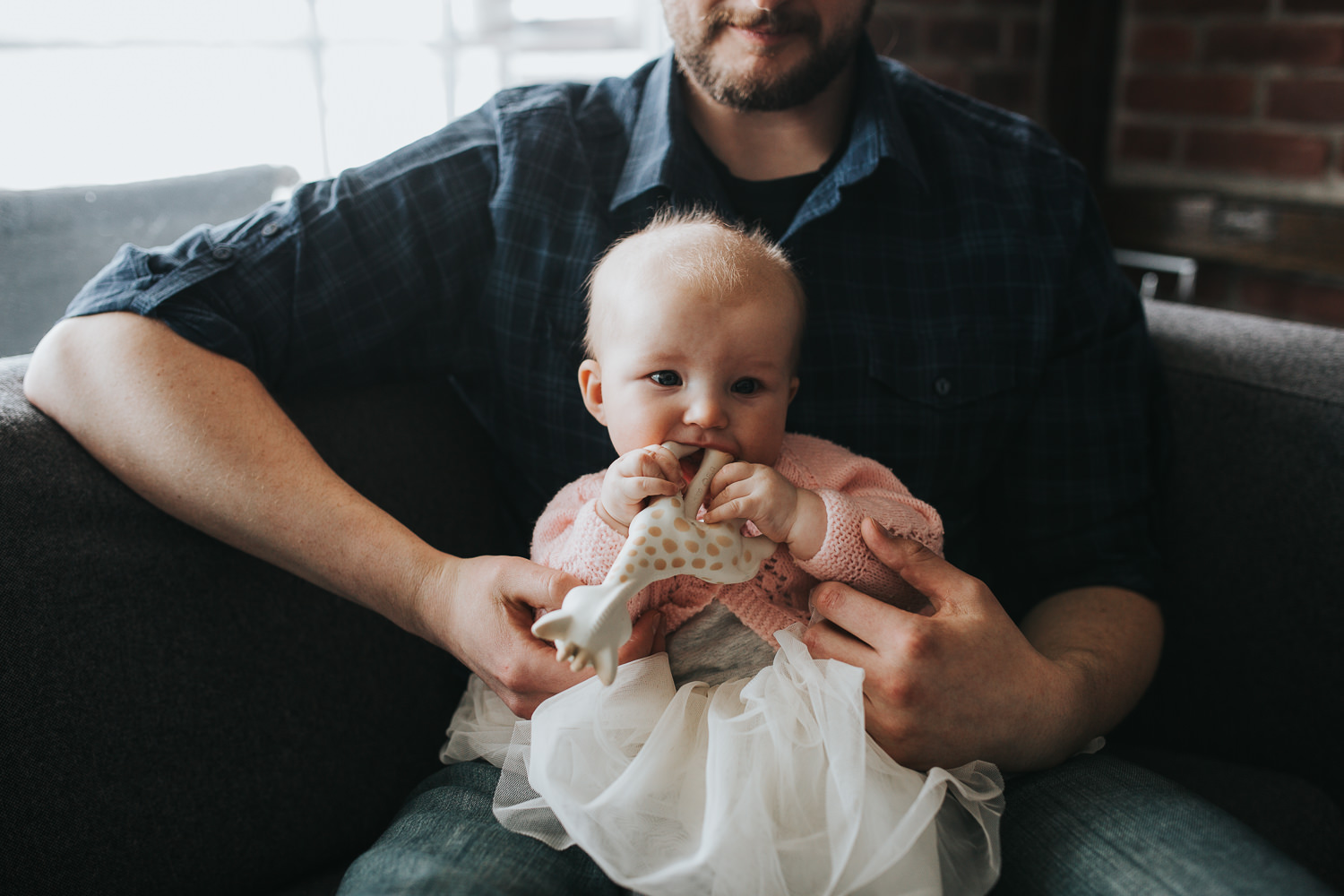 5 month old baby girl in pink sweater chews on Sophie the giraffe while sitting on dad's lap - Newmarket in-home photos