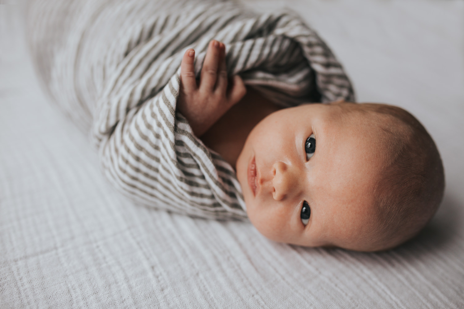 2 week old baby boy lying on bed in striped neutral swaddle, looking at camera - Newmarket lifestyle photography