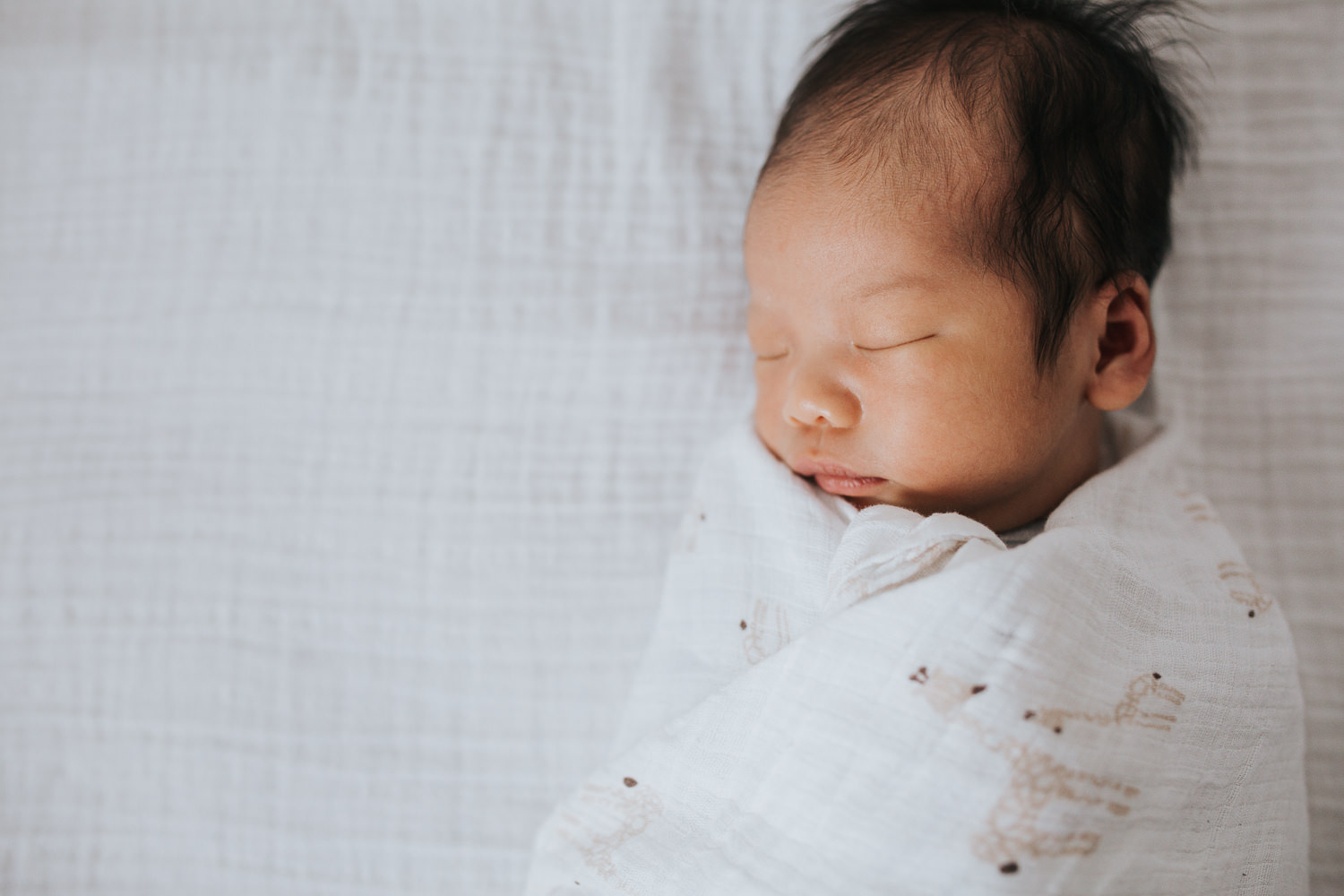 2 week old baby boy lying swaddled and sleeping on bed - Newmarket Lifestyle Photography