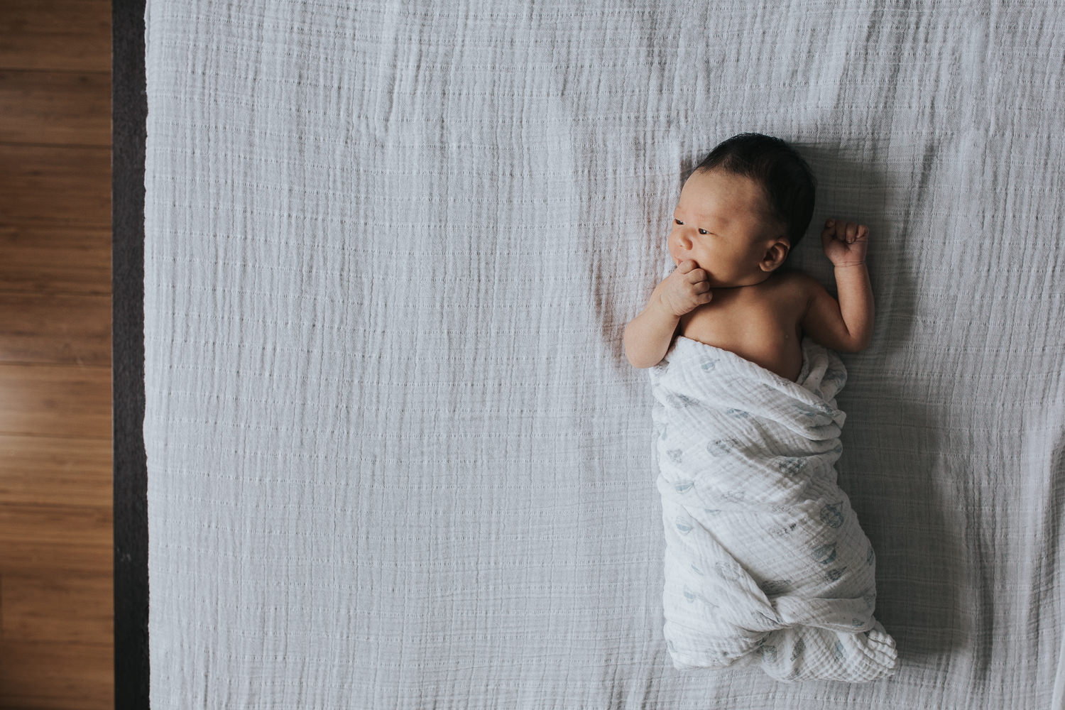 2 week old baby boy with eyes open lying on bed in blue and white swaddle - Stouffville In-Home Photography