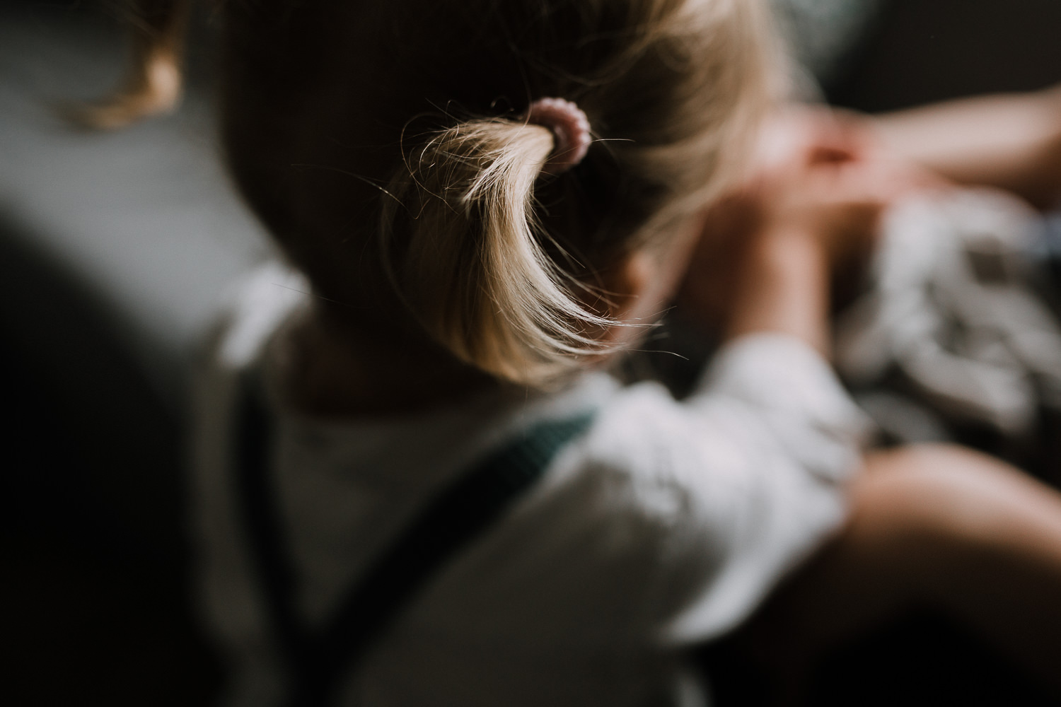 close up of 2 year old toddler girl's blonde pigtail - Stouffville In-Home Family Photos