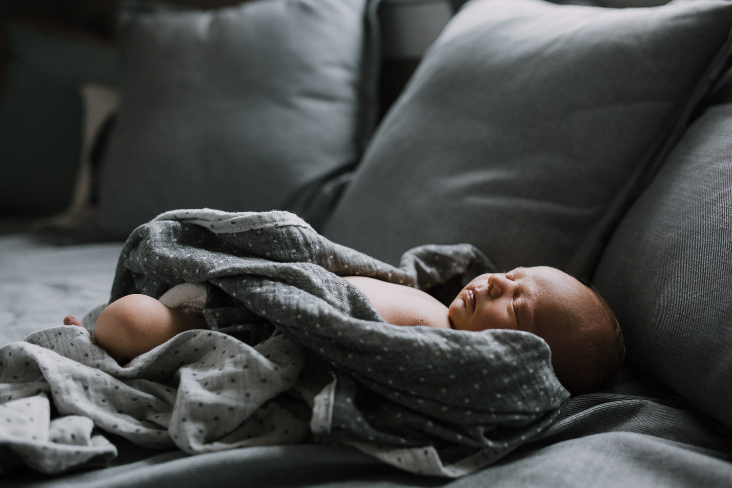 10 day old baby boy in loose grey polkadot swaddle asleep on couch - Newmarket In-Home Family Photography