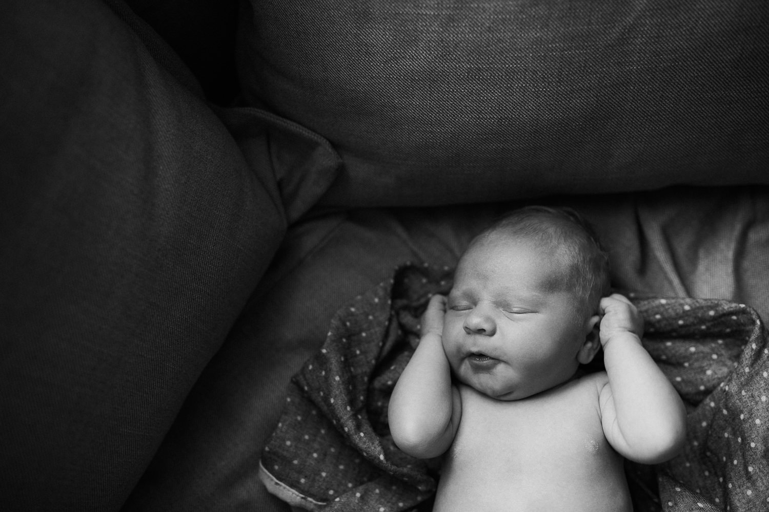 10 day old baby boy in loose grey polkadot swaddle with hands by face asleep on couch - Stouffville In-Home Family Photography