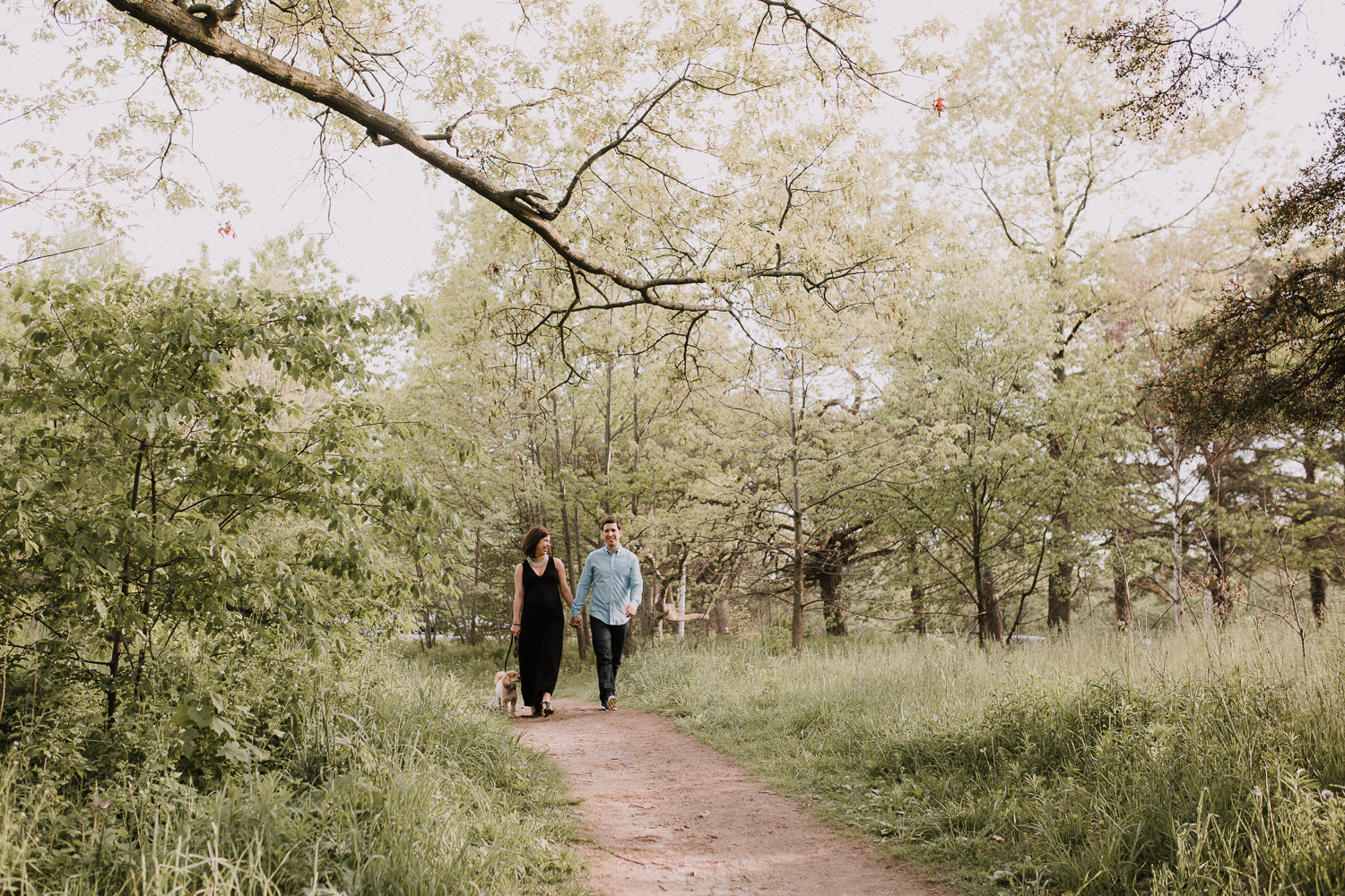 pregnant wife and husband holding hands and walking down forest path with small dog -  Stouffville Lifestyle Photography 