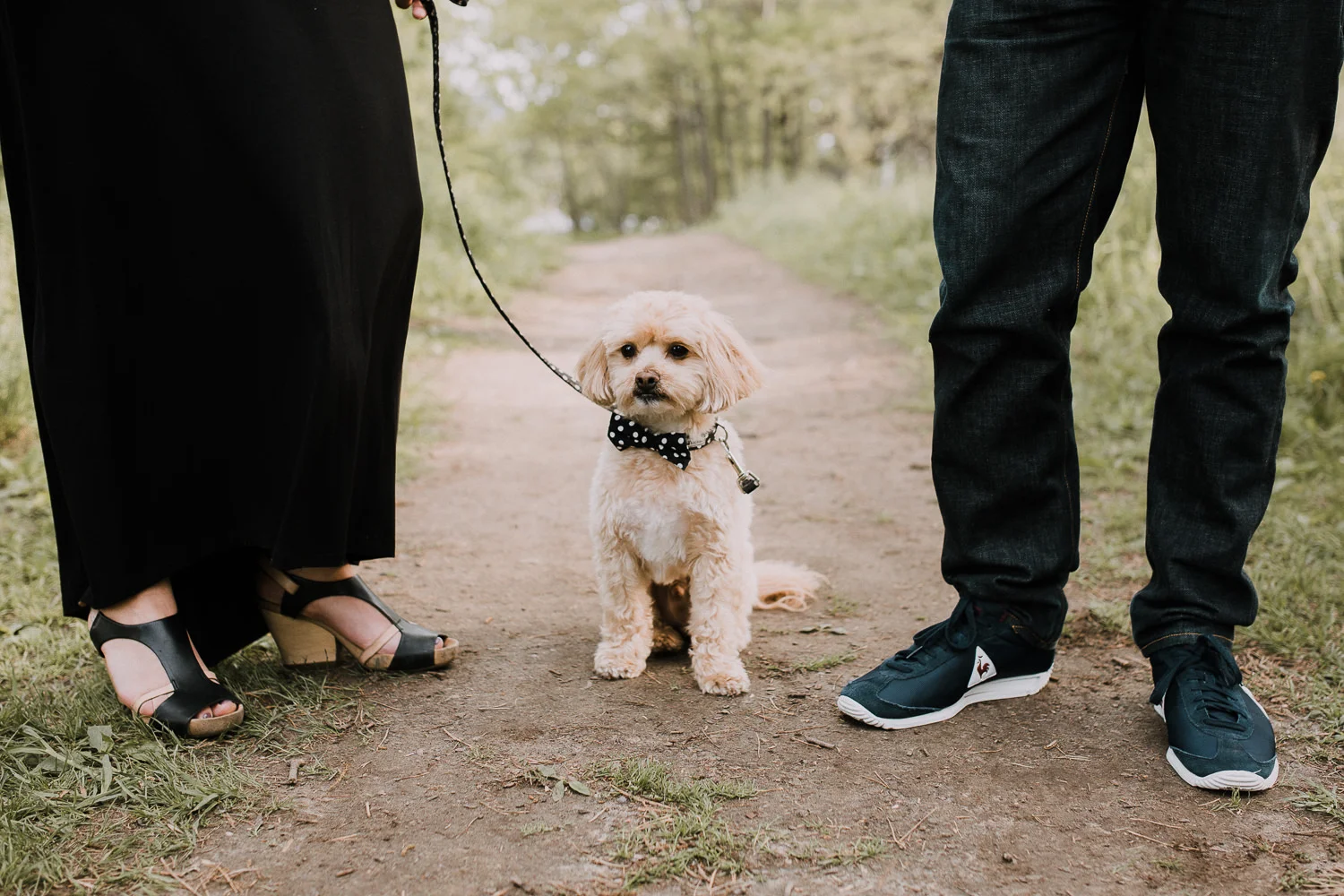 small golden brown shi-poo sitting while owners stand on either side - Barrie Lifestyle Photography