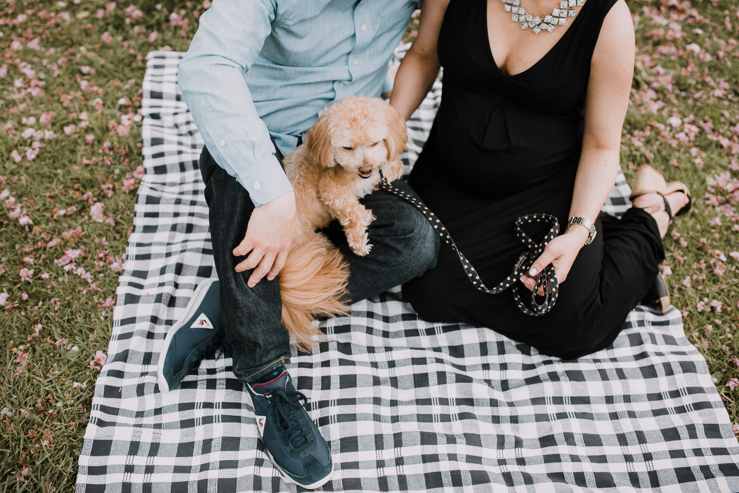 man and pregnant woman sit on black and white checked blanket with golden shi-poo dog in their laps - Newmarket Lifestyle Photos